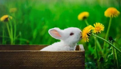 九游游戏中心官网-高光时刻：那些场上经典瞬间难以忘怀！，高光时刻的歌曲