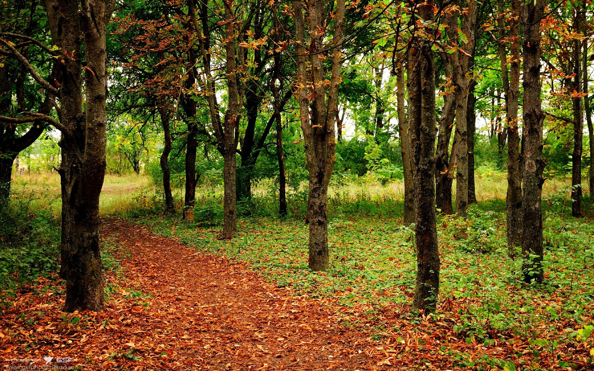 九游娱乐体育官网-NBA总决赛一触即发 火箭决胜欲望，_nba总决赛