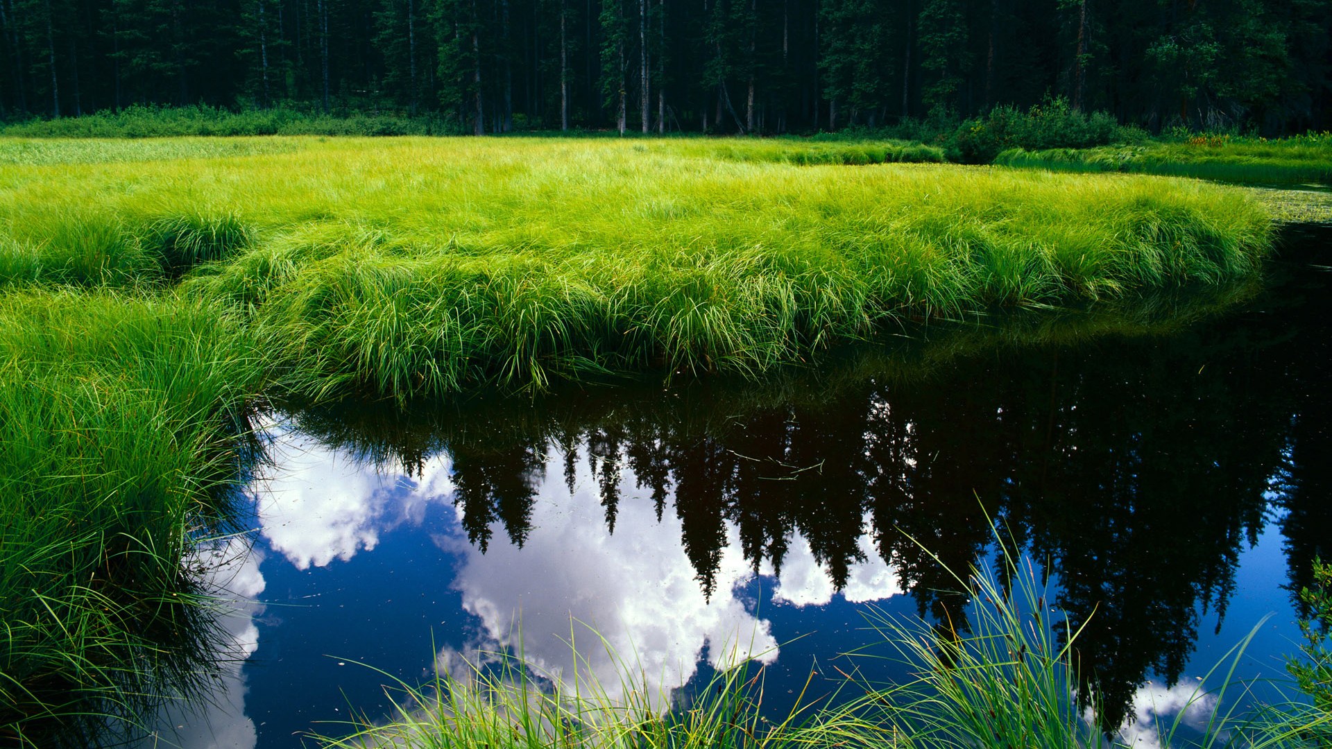 九游体育网页入口-单前锋战术是否更适合现代紧凑防守节奏,4231单前锋特点