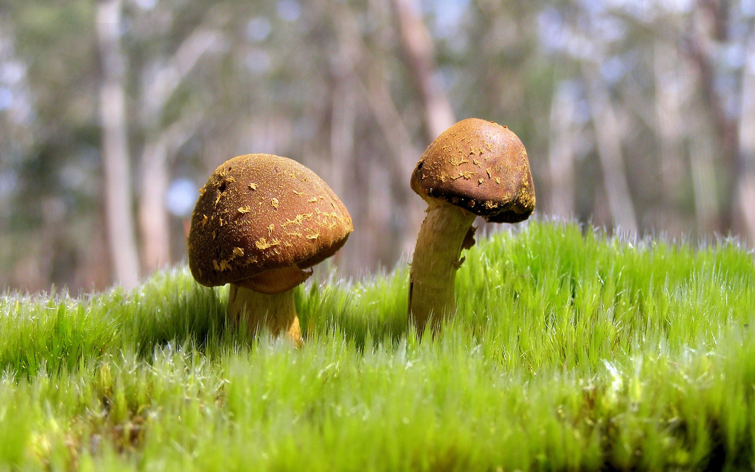 J9九游会-女足比赛助教入选教练团队,执教经验丰富,女足教练2021