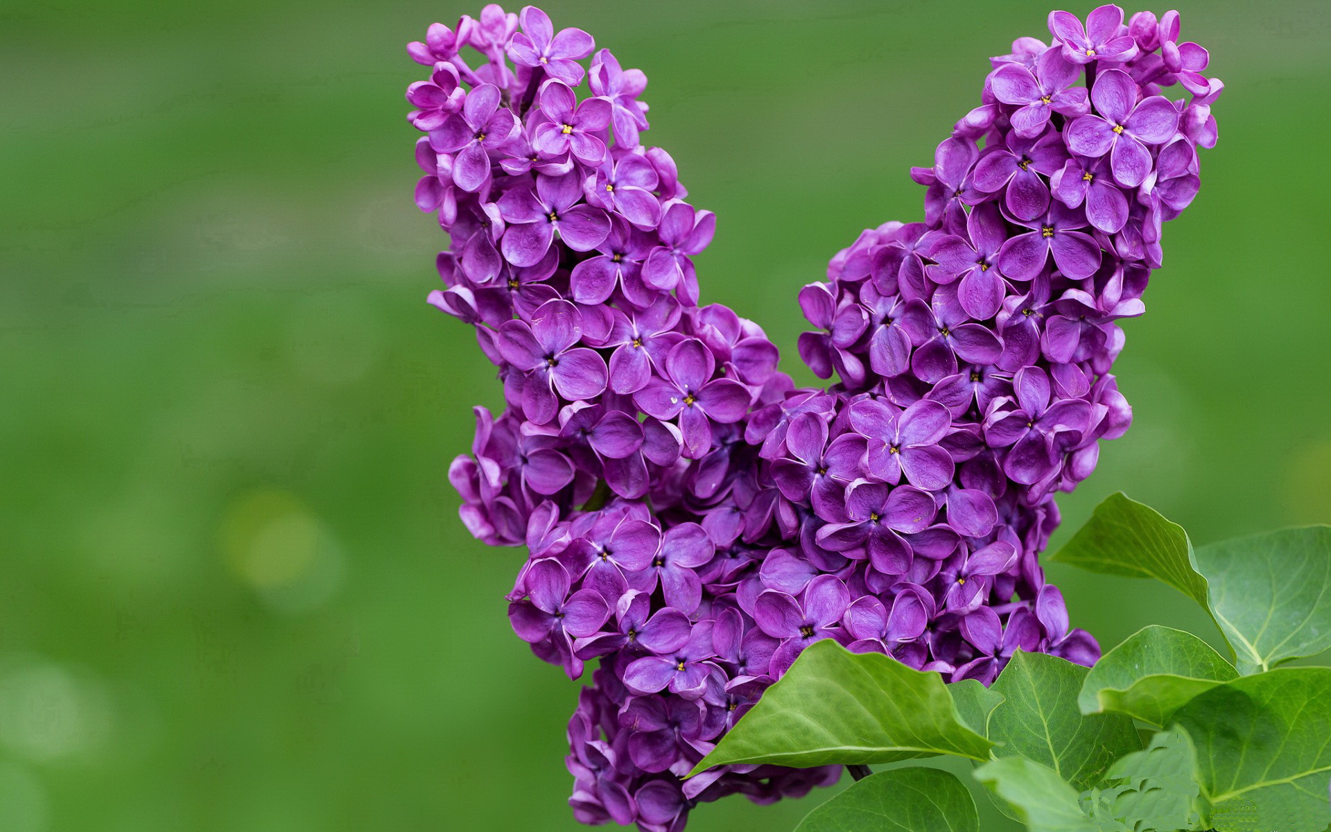 九游-英超榜首大战落幕,阿森纳客场完胜曼联,英超阿森纳对曼城