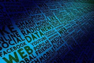 九游体育-体育社会组织自律机制与评估标准构建,体育社会组织的作用