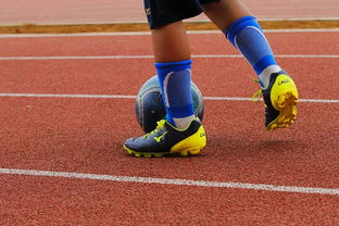 九游娱乐官方平台-未来潜力：年轻球员的崛起路径，年轻球员是中国足球未来发展的基础