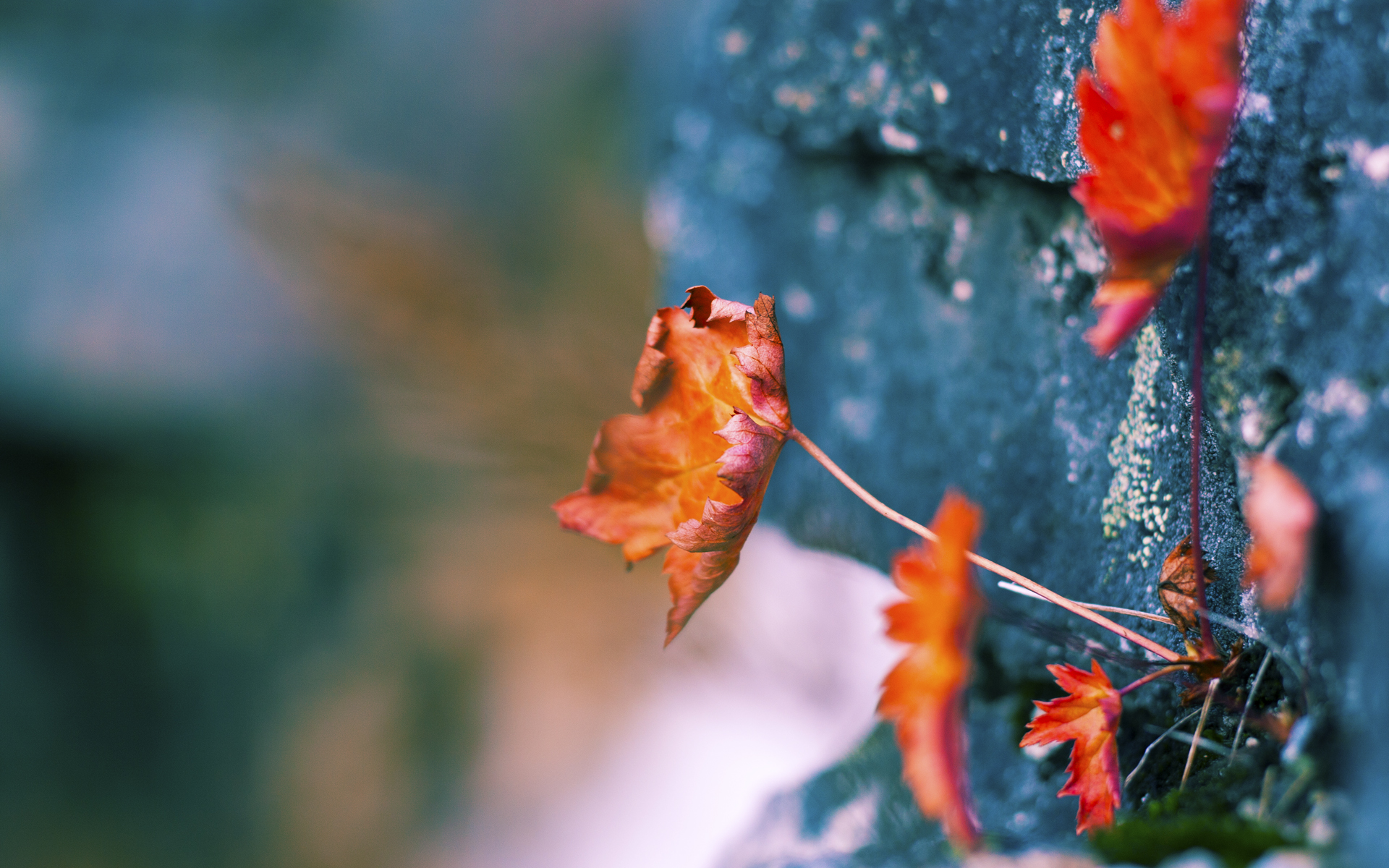 九游体育登录入口-主场与客场是否会对比赛节奏产生影响,主场和客场的优劣势